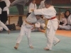 panissieres judo 2013