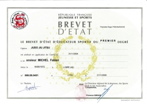 diplome etat Judo Fabien MICHEL